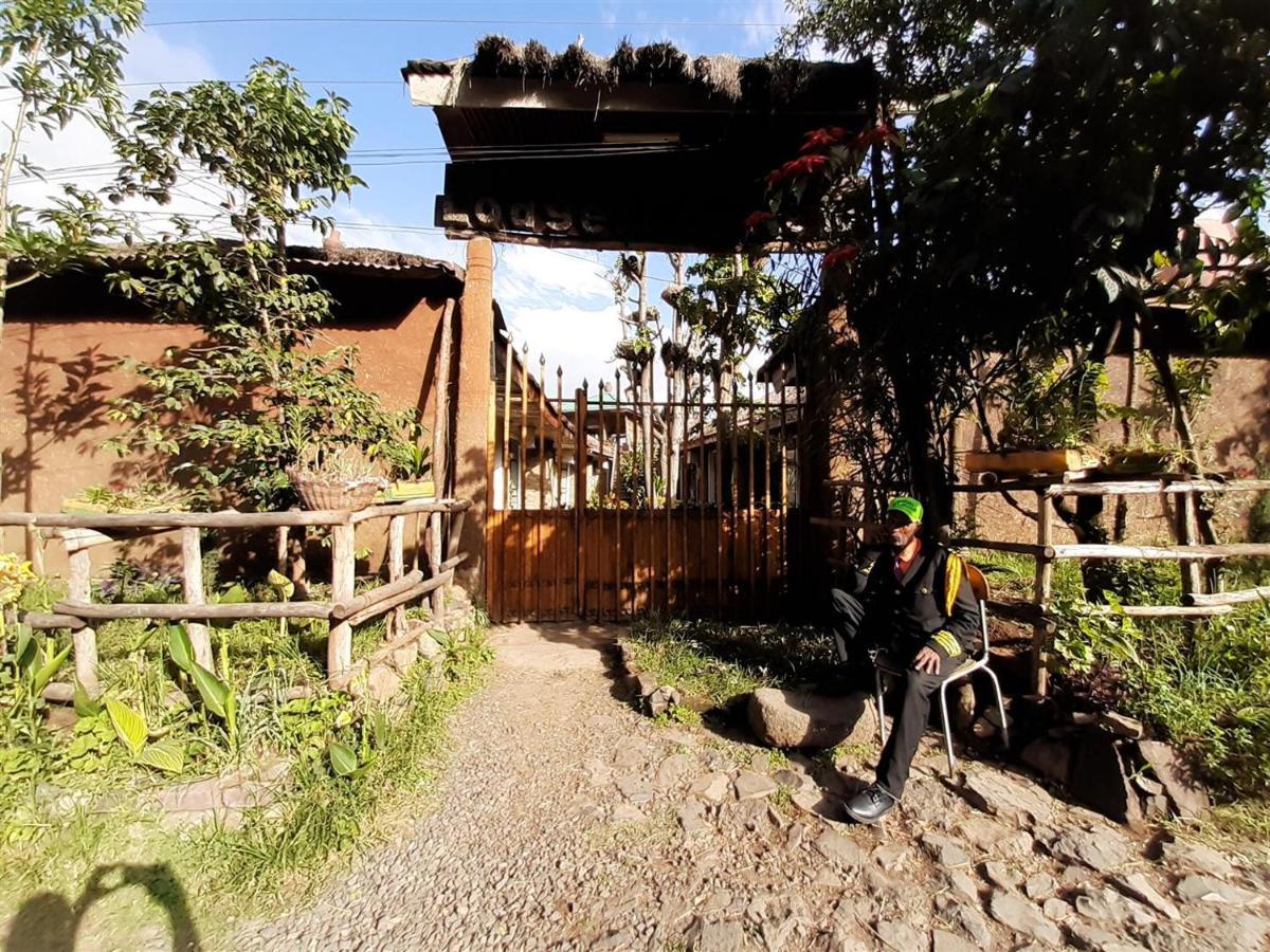 Lodge Du Chateau Gonder Exteriör bild